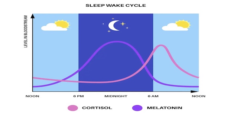 How’s your Circadian Rhythm?