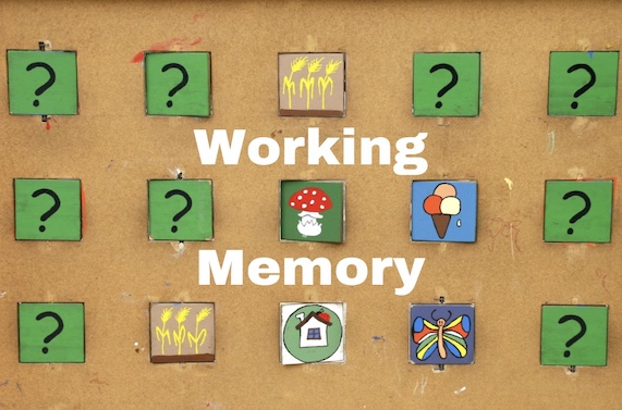 Short-Term Memory is our Working Memory