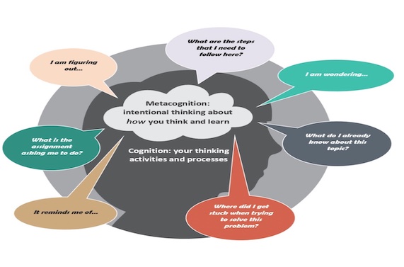 Metacognition – Key Executive Function