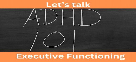 What does Executive Functioning mean?